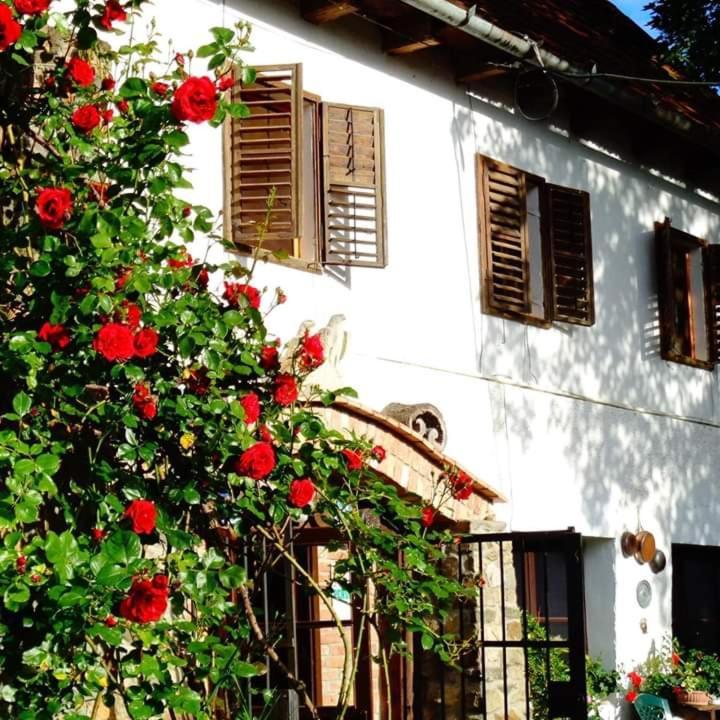 La Amadeus & Monica Hotel Minis Bagian luar foto